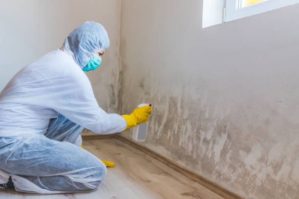 Licensed Mold Remediation service in Unionville, TN - WQB Mold Removal